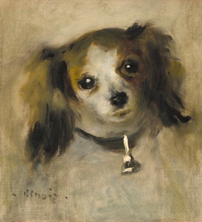 Testa di cane, 1870 da Pierre Auguste Renoir